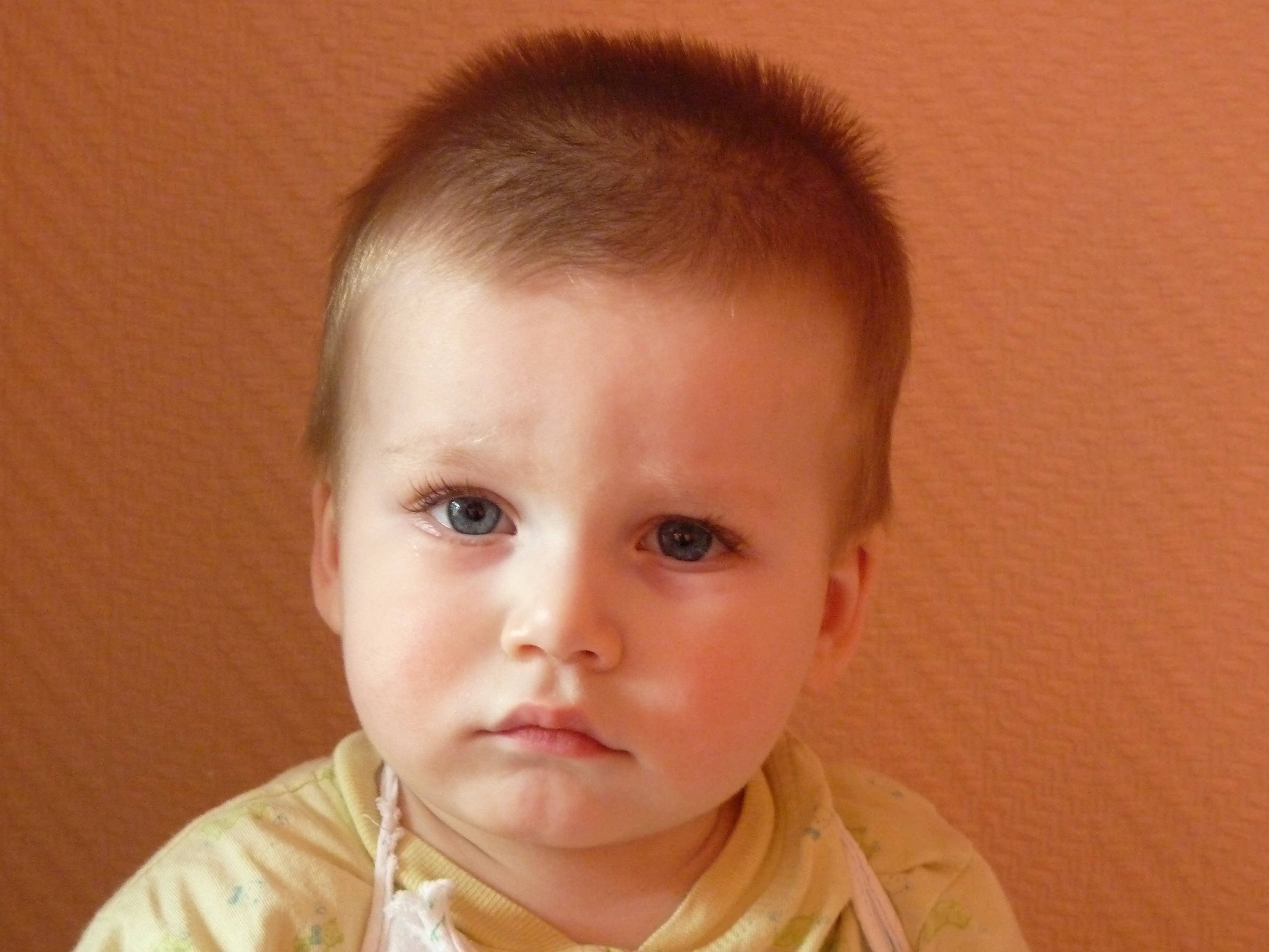 Дети Донбасса сироты усыновить база данных детей